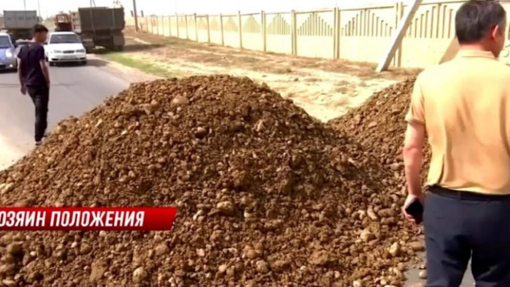 Фото: кадр из видео/КТК