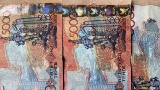 Более 260 грантов и 136 микрокредитов выдано в Павлодарской области