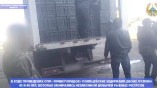 Более 7 тонн рыбы на 50 млн тенге незаконно перевозил житель ВКО