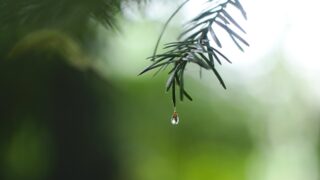 Дожди в понедельник ожидаются в Астане и Алматы, без осадков в Шымкенте