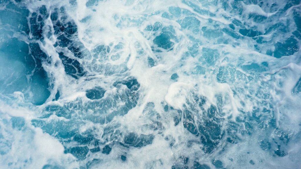 Фото: Unsplash