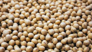 Фьючерсы на сою растут после падения до минимумов с начала августа