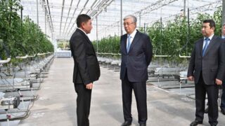 Глава государства посетил тепличный комплекс ТОО «Lst Agro», специализирующийся на выращивании томатов и рассадов