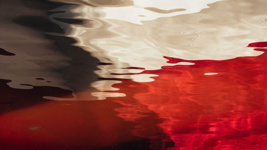 Фото: Unsplash