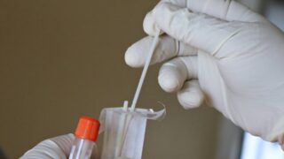 Иммунолог объясняет, как защититься от нового штамма коронавируса «Пирола»