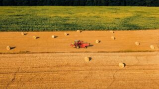 Казахстанский аграрный сектор не оправдывает свой потенциал — Талгат Калиев