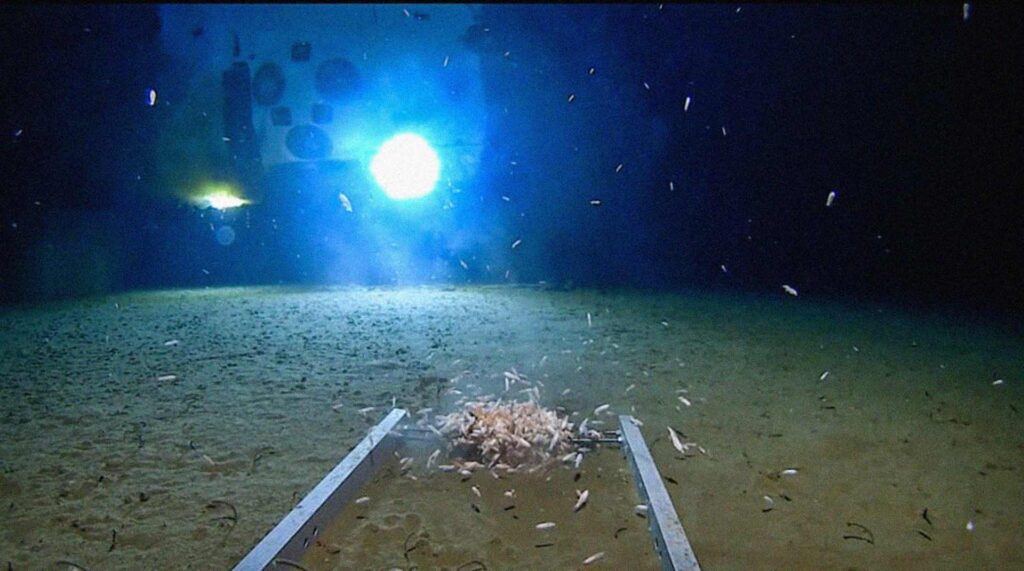 Фото: Discovery/Five Deeps Expedition