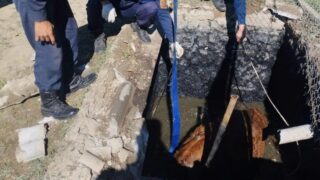 Корова упала в септик в селе Таскала-2 близ Атырау