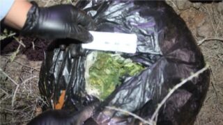 Кызылординские полицейские изъяли особо крупную партию наркотиков