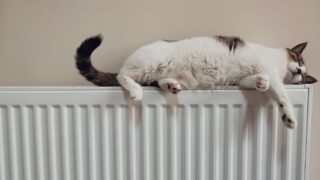 Глава Минэнерго прокомментировал ситуацию с высокими счетами за тепло и свет