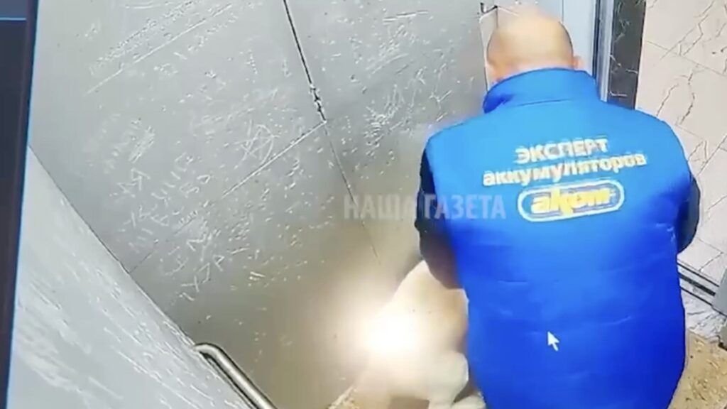Фото: кадр из видео