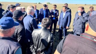 На что могут рассчитывать фермеры с пострадавшим от дождя урожаем