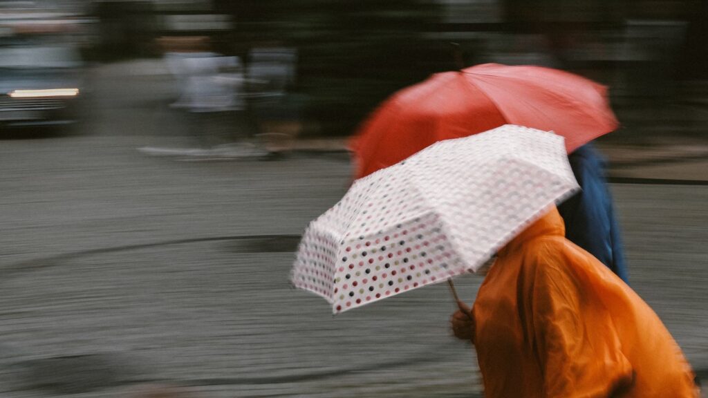 Фото: Unsplash