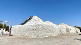 Новый завод по производству хлопка стоимостью 3 млрд тенге откроется в Туркестане