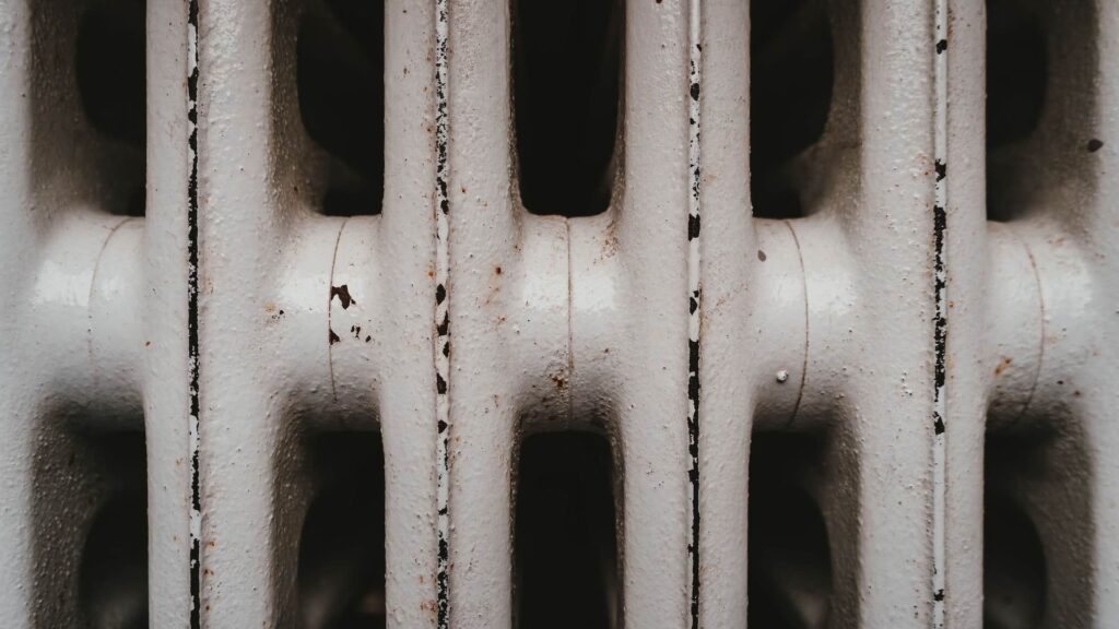 Фото: unsplash