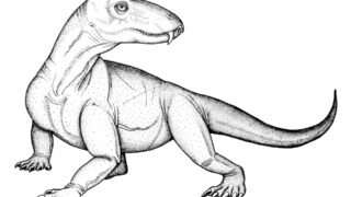 Палеонтологи обнаружили останки гигантского хищника, который населял Землю задолго до появления динозавров