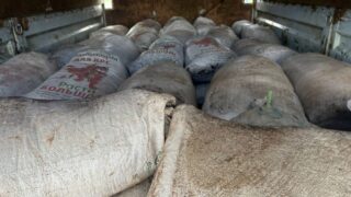 Павлодарец задержан за перевозку 2,5 тонн раков артемии салина без соответствующих разрешений