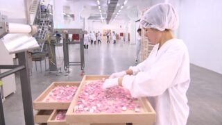 Планируется затратить $200 млн на переезд фабрики Рахат в Алматинскую область