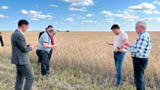 Представители Минсельхоза встретились с фермерами Костанайской области, пострадавшими от непогоды