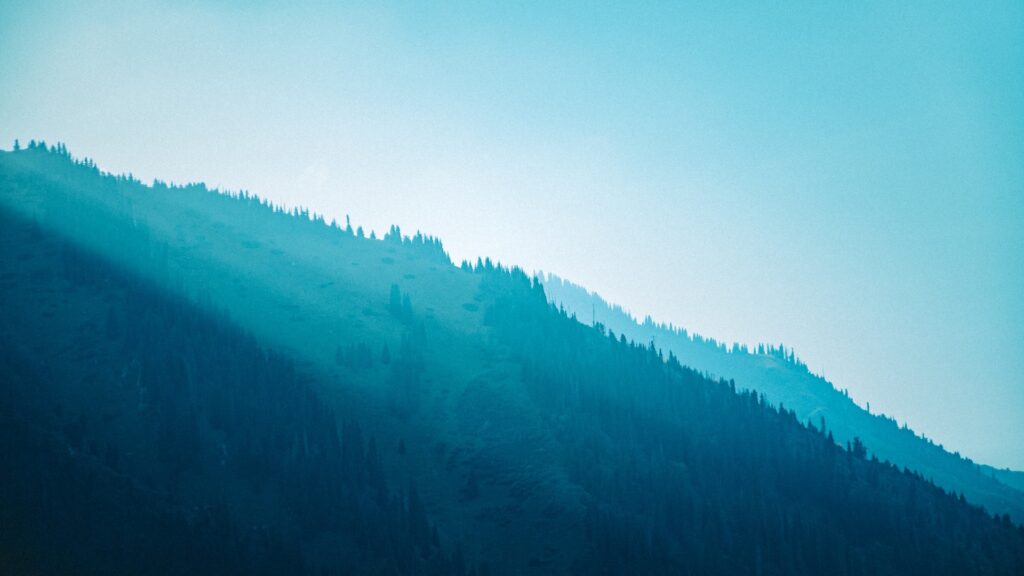 Фото: Unsplash