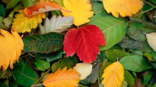 Прогноз погоды в Казахстане на воскресенье