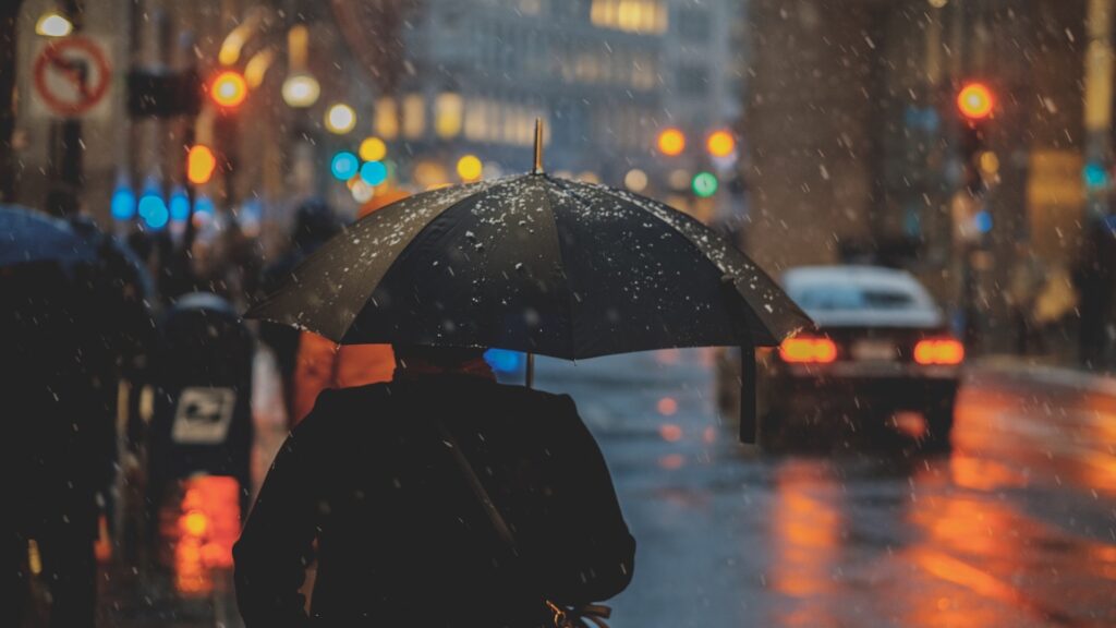 Фото: Unsplash