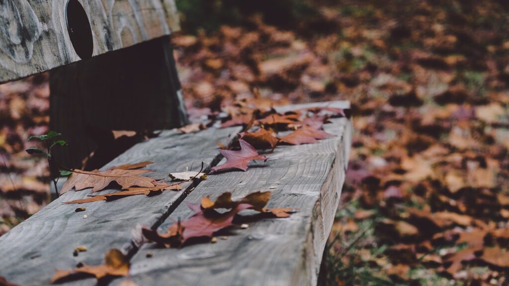 Фото: Annie Spratt / Unsplash