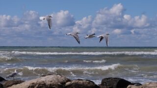 Состоялось шестое заседание высокого уровня по вопросам Каспия рабочей группы