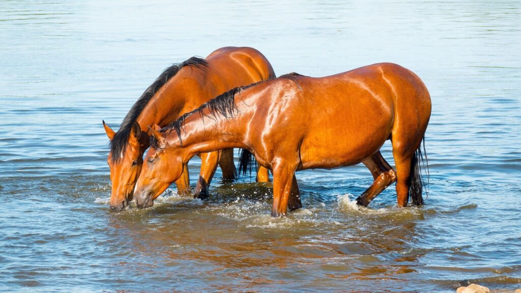 Фото: pixabay/MandrillArt.