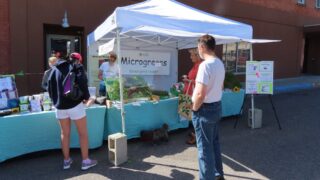 Уровень инфляции в США вырос до 3,7% в августе по итогам года