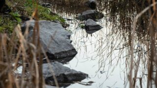 Прогноз на 26 сентября 2023 года: штормовое предупреждение в 11 областях Казахстана