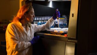 В Акмолинской области село закрыли на карантин из-за сибирской язвы