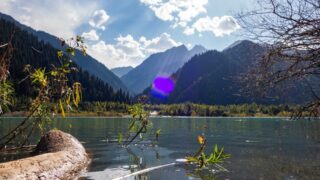 В Алматы стартовала акция «Зеленый двор» 