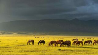 В Астане и 11 областях Казахстана на субботу объявлено штормовое предупреждение