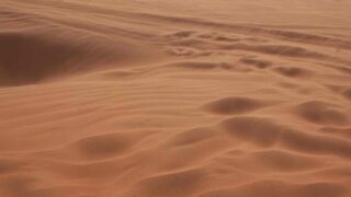 В Атырауской области 6 сел могут исчезнуть из-за песчаных барханов