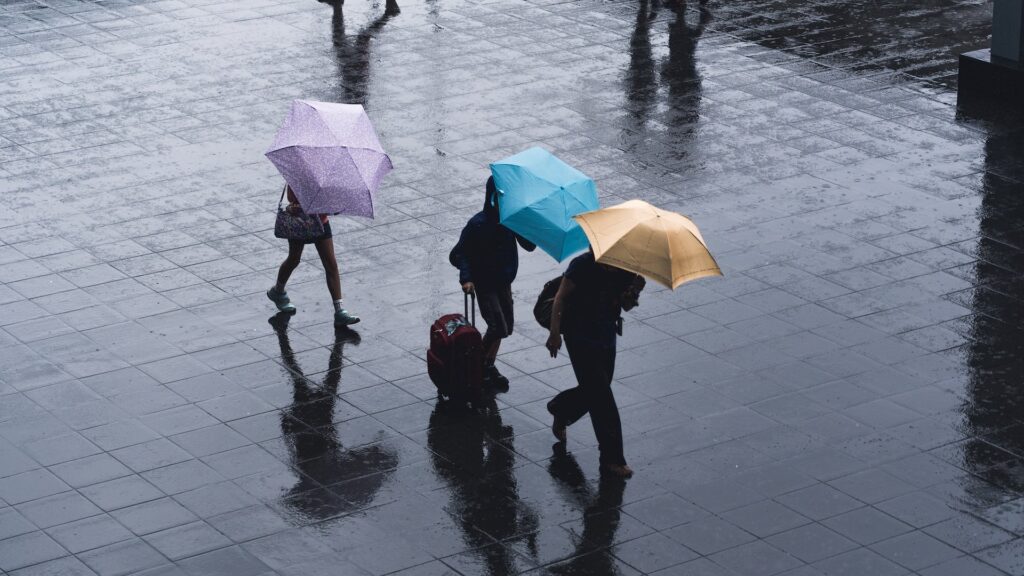 Фото: unsplash.com.