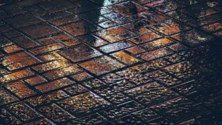 В Казахстане август побил погодный рекорд из-за обильных дождей и сильной жары