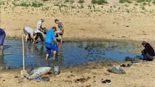 В области Атырау спасены около 2,7 млн мальков