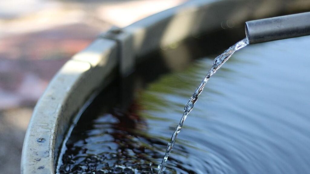 Фото: pixabay.com.