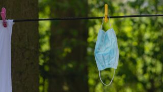 В селе Жетижар официально сняли режим ЧС — сибирская язва не подтвердилась