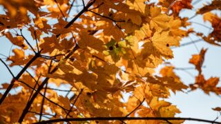 Синоптики прогнозируют сухую погоду на большей части Казахстана в среду, 27 сентября 2023 года