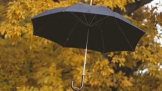 В субботу ожидаются дожди на большей части территории Казахстана