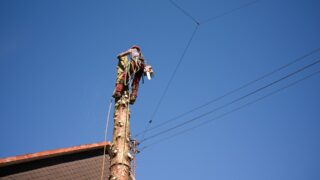 Власти уверяют, что более 700 жилых домов в Сарыагаше получат надежное электроснабжение