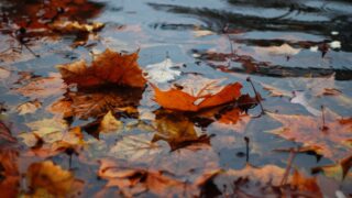 Во вторник ожидаются дожди на большей части территории Казахстана