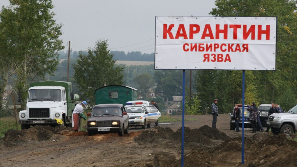 Фото: © Sputnik / Александр Кряжев