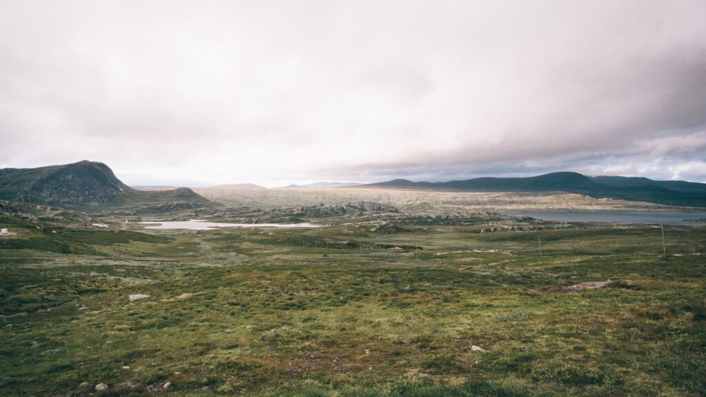 Фото: Unsplash