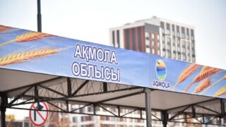 20 районов и городов Акмолинской области представили сельхозпродукцию на ярмарке в Астане