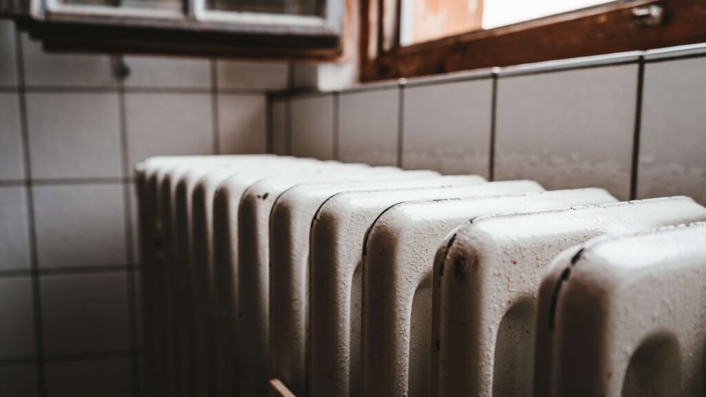 Фото: Unsplash