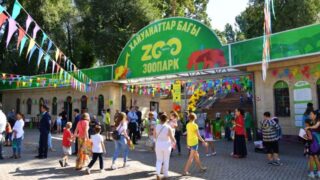 Алматинский зоопарк просит помощи в сборе желудей для животных