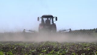 Четверг в США: повышение цен на зерновые и сою